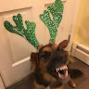 Meet your Posher, Ally